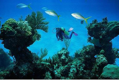 Switch《旧共和国武士2》遇恶性BUG游戏不能通关